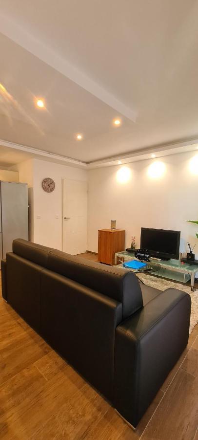 Le Cocon Du Leman Apartment Viry  Exterior photo
