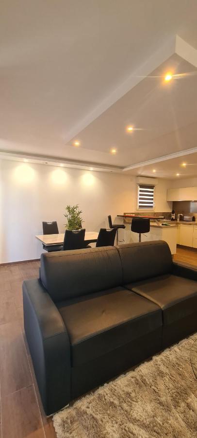 Le Cocon Du Leman Apartment Viry  Exterior photo