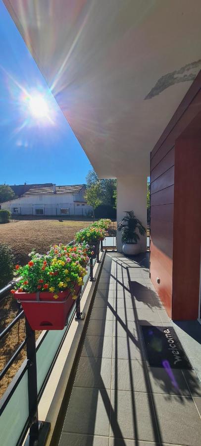 Le Cocon Du Leman Apartment Viry  Exterior photo